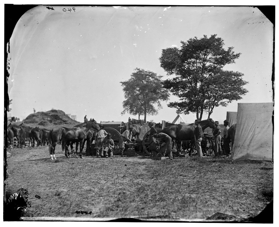 Antietam, Md. Blacksmith shoeing horses at headquarters, Army of the Potomac LOC cwpb.04335