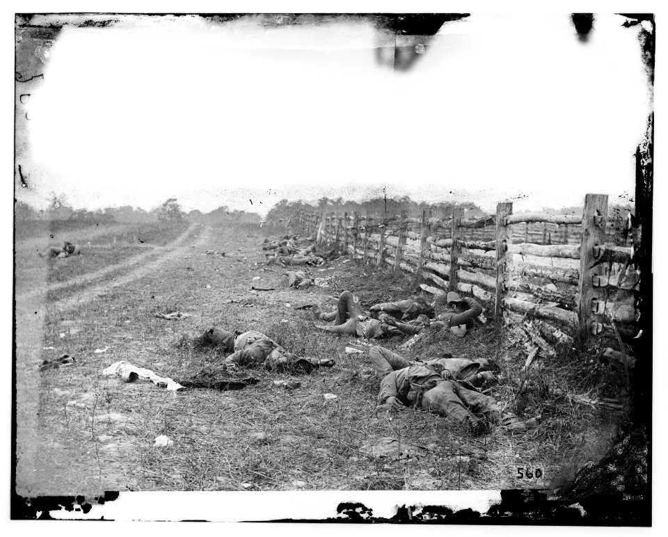 Antietam, Md. Confederate dead by a fence on the Hagerstown road LOC cwpb.01097