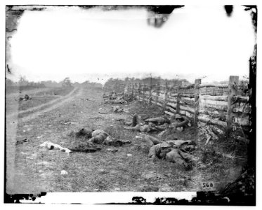 Antietam, Md. Confederate dead by a fence on the Hagerstown road LOC cwpb.01097