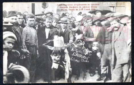 Antigreek actions in Bulgaria, 1906