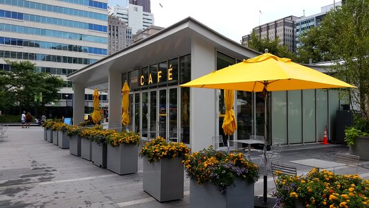 Pennsylvania cafe flowers