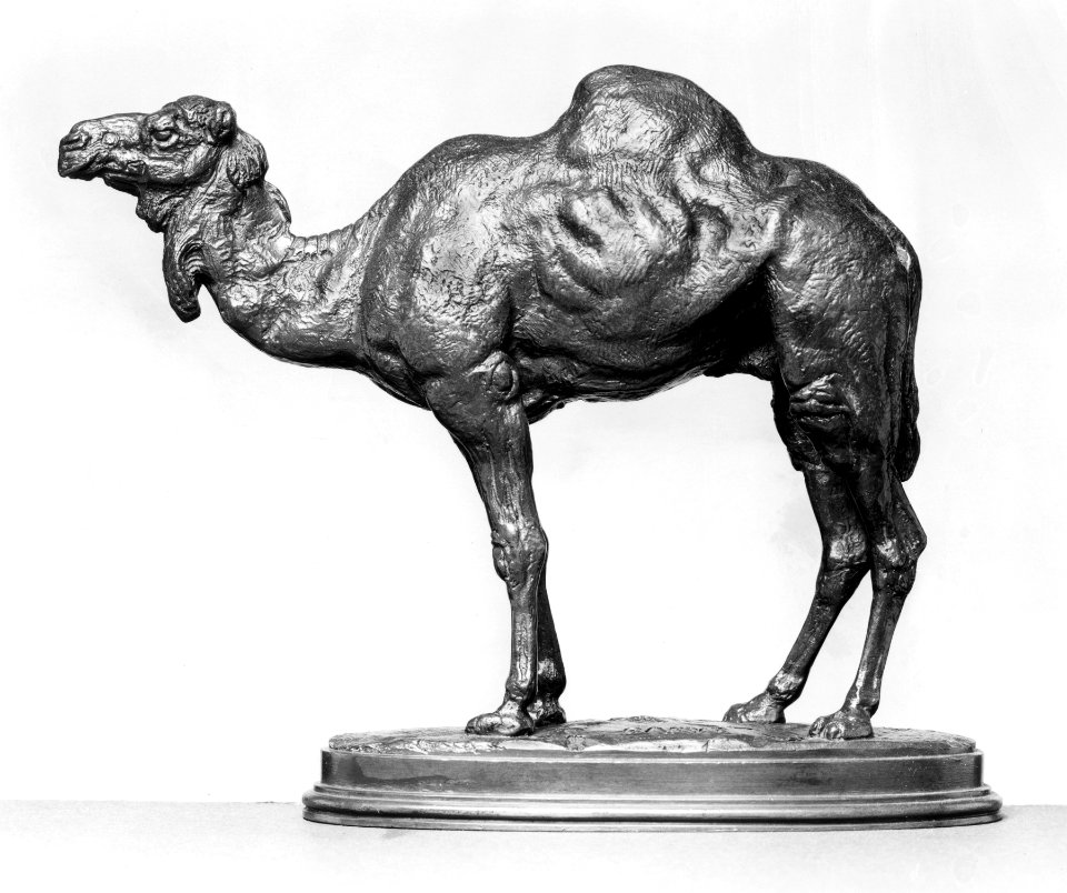 Antoine-Louis Barye - Algerian Dromedary - Walters 27102