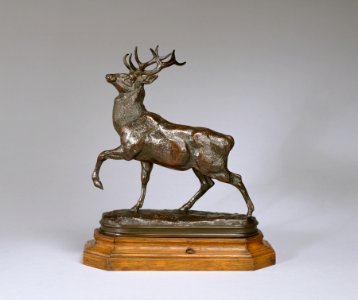 Antoine-Louis Barye - Deer with Foreleg Raised - Walters 2790 - Profile