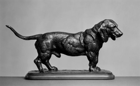 Antoine-Louis Barye - Basset Standing with Head Turned to the Right - Walters 2772