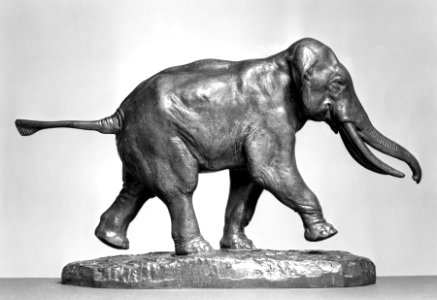 Antoine-Louis Barye - Elephant of Cochin-China - Walters 2761