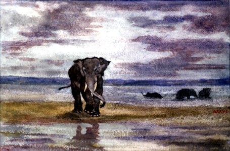 Antoine-Louis Barye - Elephants in Water - Walters 37819