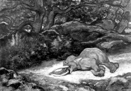 Antoine-Louis Barye - Elephant Asleep - Walters 37812 photo