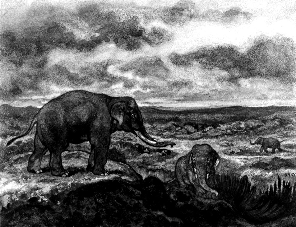 Antoine-Louis Barye - Elephants - Walters 37826