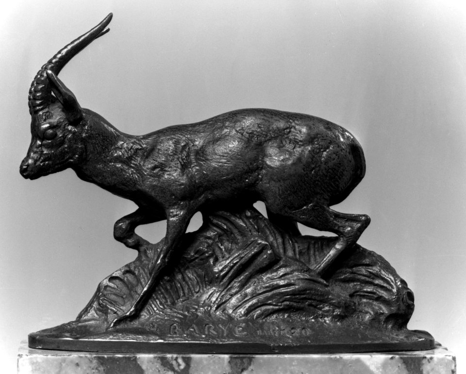 Antoine-Louis Barye - Gazelle of Ethiopia - Walters 2731