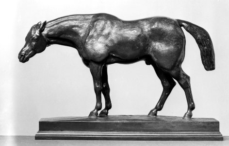 Antoine-Louis Barye - Half-Blood Horse, with Head Down - Walters 2762
