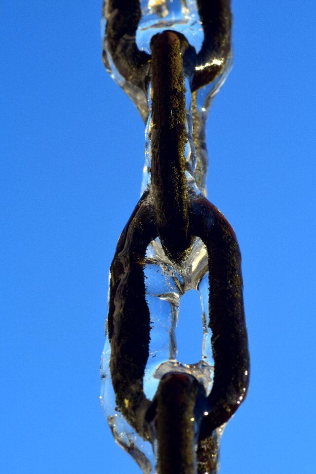 Frost winter frozen