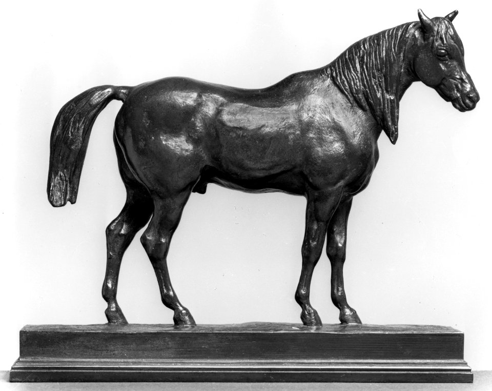 Antoine-Louis Barye - Half-Blood Horse - Walters 2752