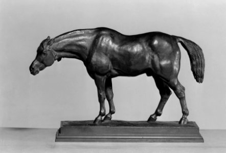 Antoine-Louis Barye - Horse with Head Lowered - Walters 2768