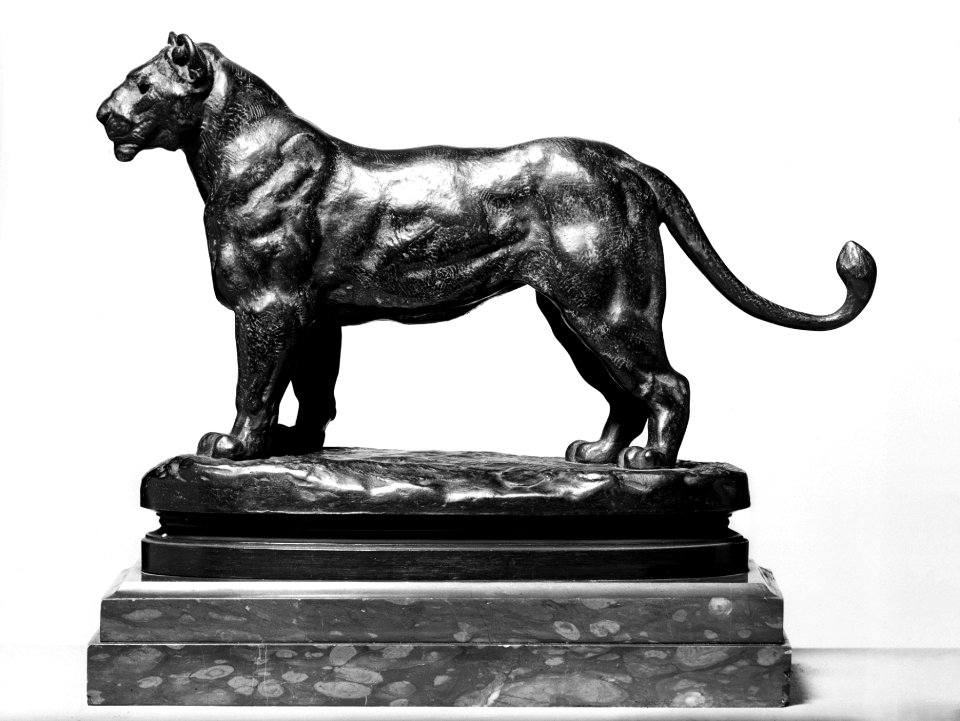 Antoine-Louis Barye - Lioness of Algeria - Walters 27107 - Left