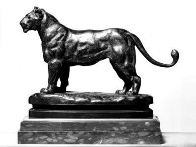 Antoine-Louis Barye - Lioness of Algeria - Walters 27107 - Left