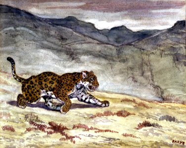 Antoine-Louis Barye - Running Jaguar - Walters 37820 photo