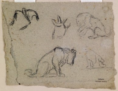 Antoine-Louis Barye - Sketches of a Lion - Walters 372248