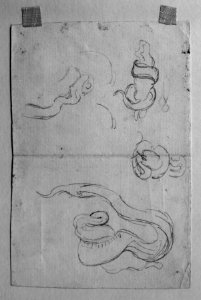 Antoine-Louis Barye - Sketches of Snakes - Walters 372187