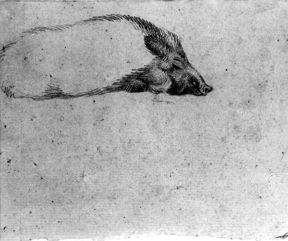 Antoine-Louis Barye - Study of a Sleeping Boar - Walters 372338