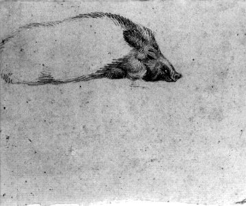 Antoine-Louis Barye - Study of a Sleeping Boar - Walters 372338