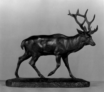 Antoine-Louis Barye - Stag Walking - Walters 2793