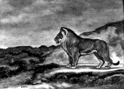 Antoine-Louis Barye - Standing Lion - Walters 37832 photo