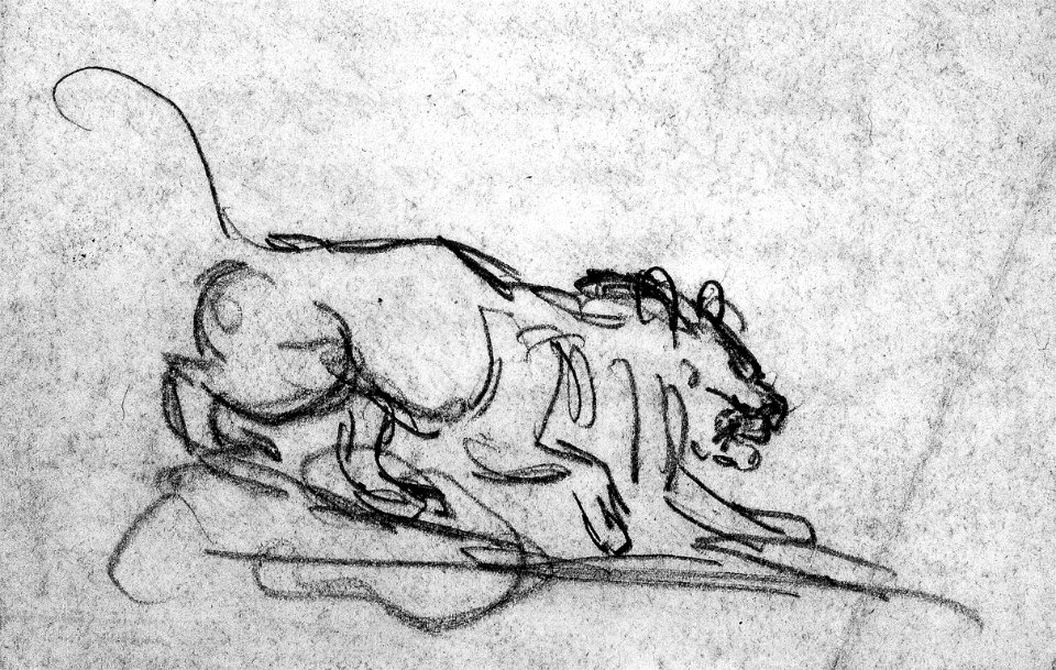 Antoine-Louis Barye - Studies of a Lion's Head and Paw, an Owl, Etc - Walters 372132
