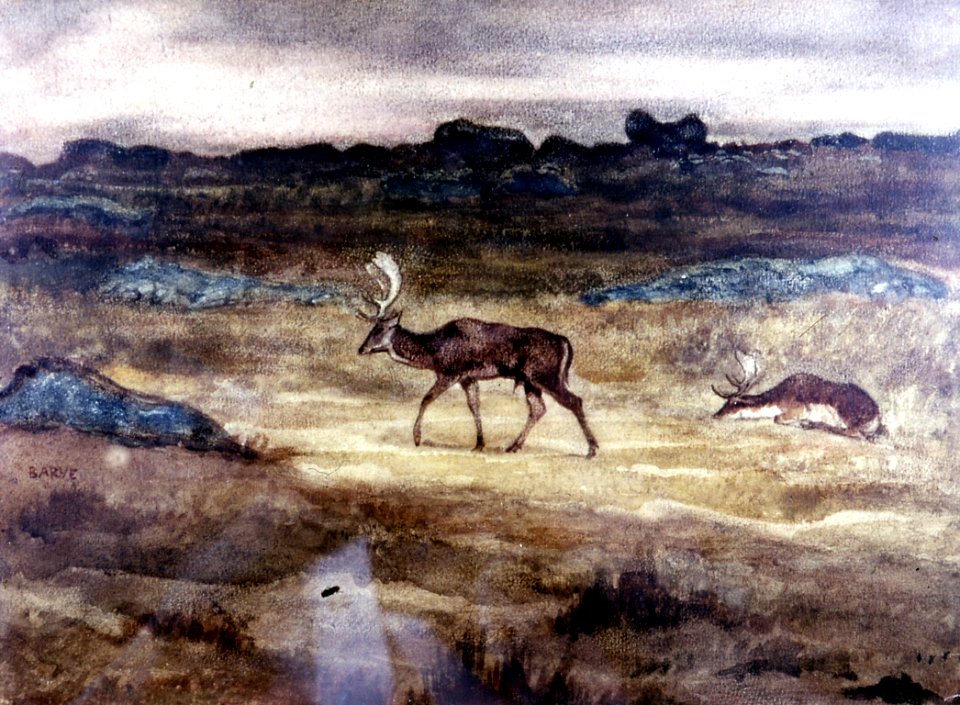 Antoine-Louis Barye - Two Fallow Deer - Walters 37822