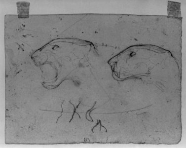 Antoine-Louis Barye - Two Heads of a Lioness - Walters 372037