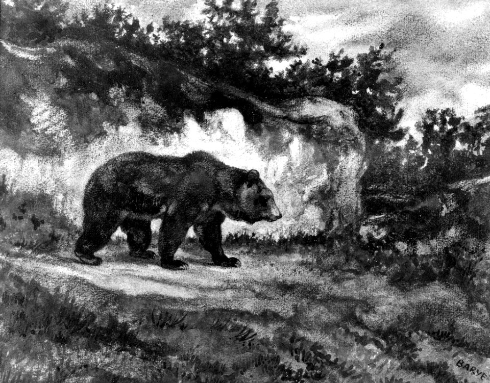 Antoine-Louis Barye - Walking Bear - Walters 37814