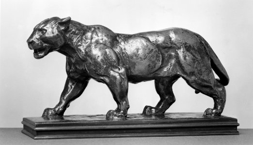Antoine-Louis Barye - Walking Lioness - Walters 2786