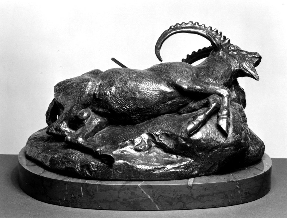 Antoine-Louis Barye - Wounded Ibex - Walters 27159
