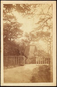 Anton, E. - carte de visite, Gedenksteen voor Peter de Grote