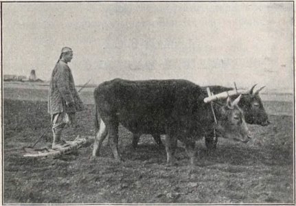 Antoni Ferdynand Ossendowski - Od szczytu do otchłani p015
