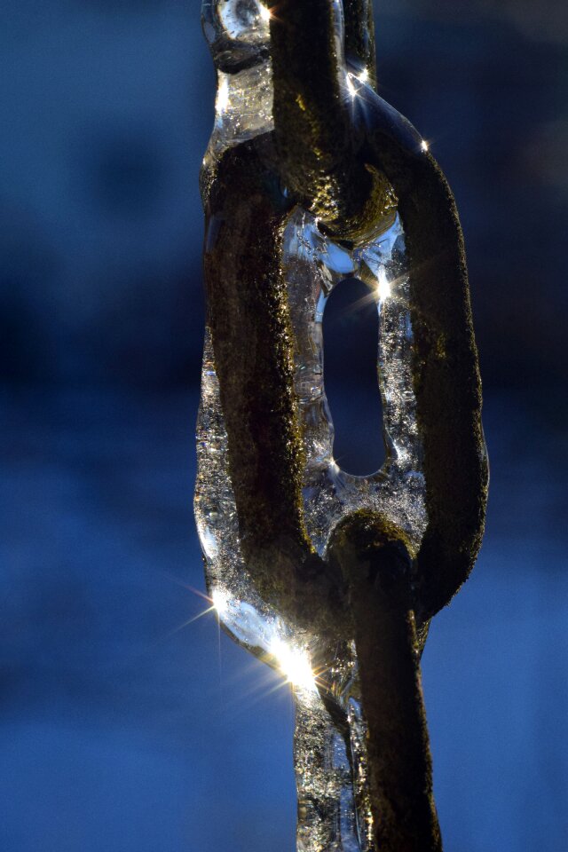 Frost winter frozen