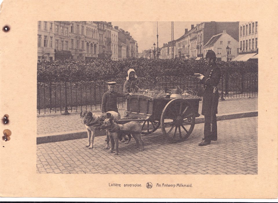 Antuérpia, Bélgica, inicio do Sec. XX, Laitière anversoise, Arquivo de Villa Maria, Angra do Heroísmo, Açores.