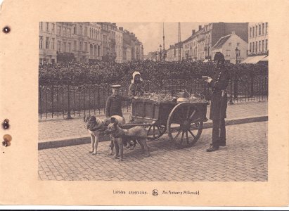 Antuérpia, Bélgica, inicio do Sec. XX, Laitière anversoise, Arquivo de Villa Maria, Angra do Heroísmo, Açores.