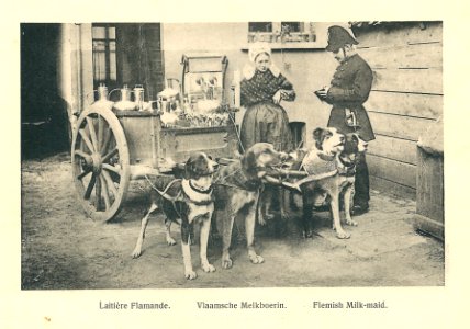 Anvers-BE-1920-Hermans, Visée & Laurent-52