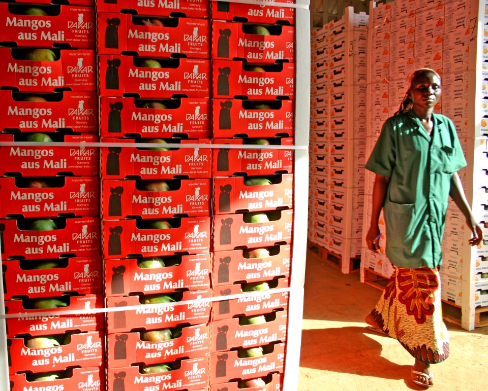 AOM Mango Processing Plant - Mali Value Chains (17069833380)