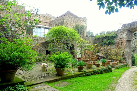 Apartment ruins - Torrecchia Vecchia - Cisterna di Latina, Italy - DSC03237 photo