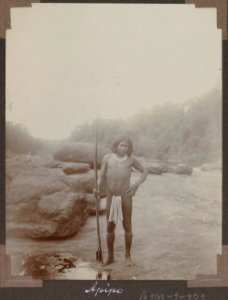 Apipo