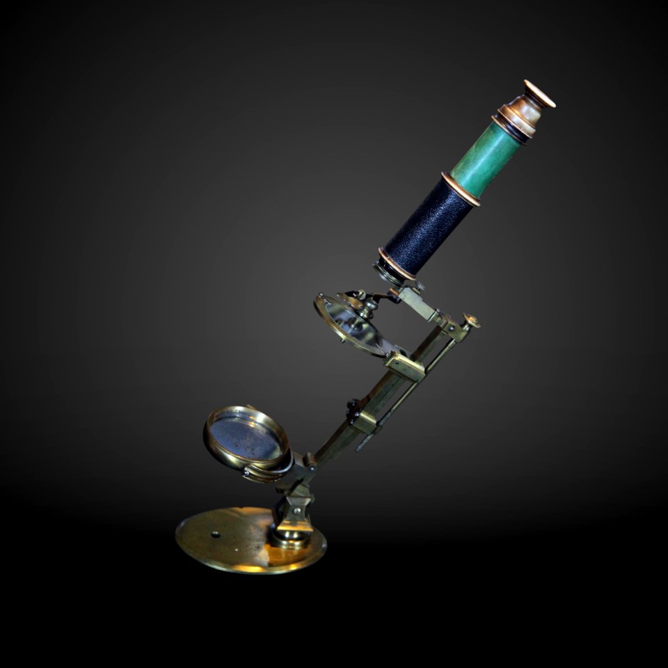 Aquatic microscope-MHS 10-IMG 9965-gradient