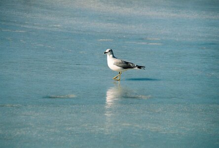 Nature outdoors seashore