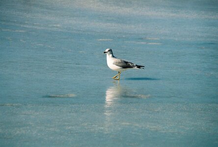 Nature outdoors seashore photo