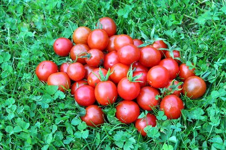 Eating red health