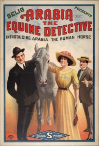 Arabia the equine detective LCCN2007676112