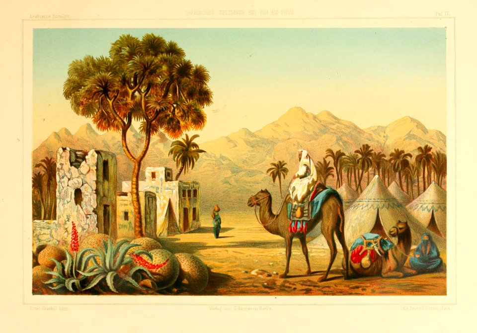 Arabische Korallen - ein Ausflug nach den Korallenb©Þnken des Rothen Meeres und ein Blick in das Leben der Korallenthiere - popul©Þre Vorlesung mit wissenschaftlichen Erla©terungen (1876) (19125835004)