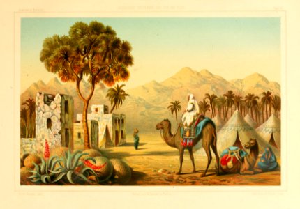 Arabische Korallen - ein Ausflug nach den Korallenb©Þnken des Rothen Meeres und ein Blick in das Leben der Korallenthiere - popul©Þre Vorlesung mit wissenschaftlichen Erla©terungen (1876) (19125835004)