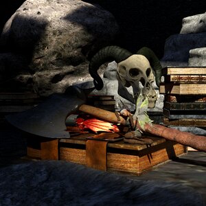 Skeleton books battle axe photo