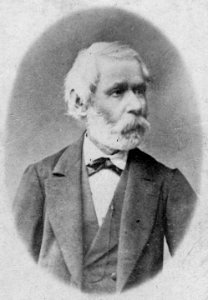 Arany János arcképe (Ellinger Ede, 1880)